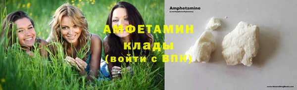амф Гусь-Хрустальный