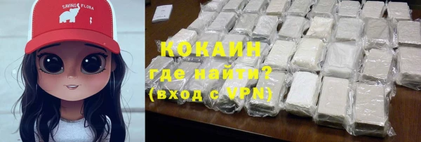 трава Гусиноозёрск