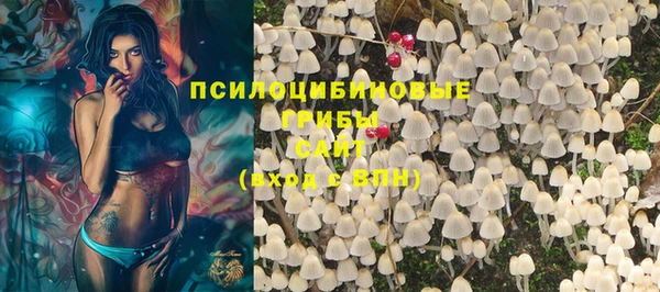 трава Гусиноозёрск