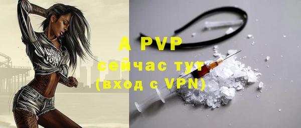 трава Гусиноозёрск