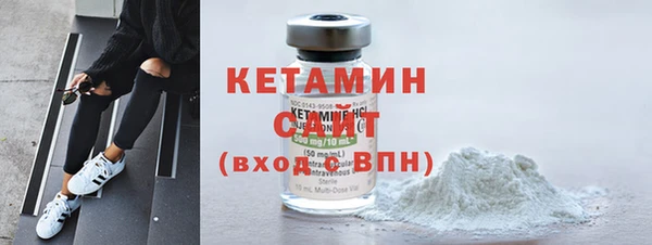 амф Гусь-Хрустальный