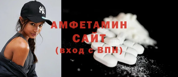 амф Гусь-Хрустальный