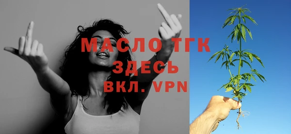 амф Гусь-Хрустальный