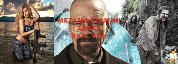 трава Гусиноозёрск