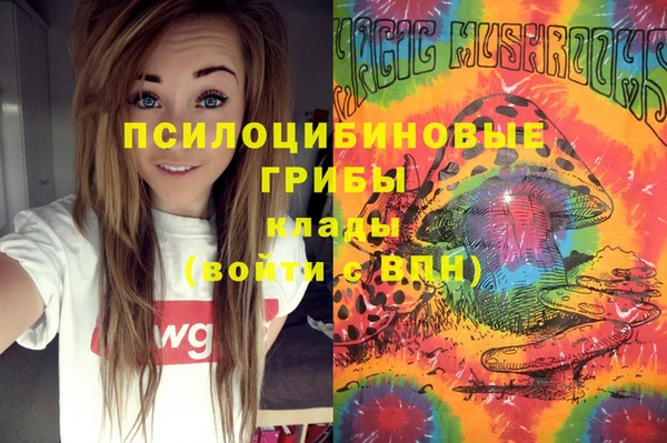 амф Гусь-Хрустальный