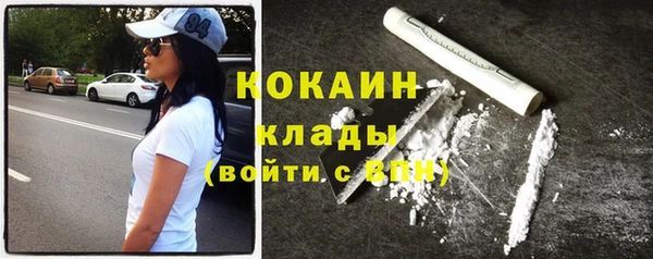 амф Гусь-Хрустальный