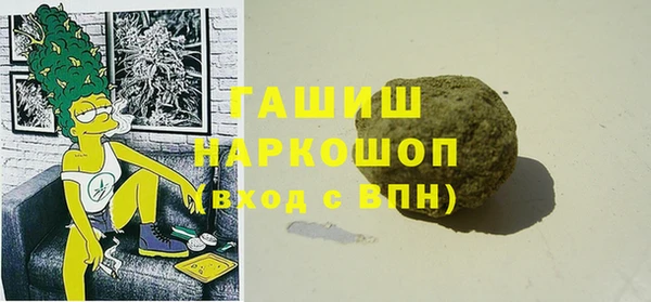 амф Гусь-Хрустальный