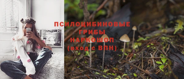 трава Гусиноозёрск