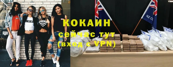 трава Гусиноозёрск