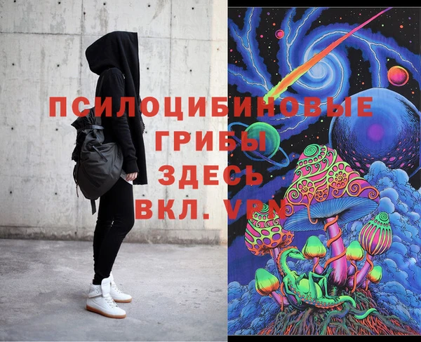 трава Гусиноозёрск