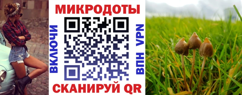 купить наркотики цена  Владимир  Псилоцибиновые грибы MAGIC MUSHROOMS 