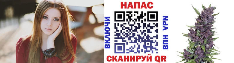 МАРИХУАНА SATIVA & INDICA  блэк спрут ССЫЛКА  Владимир 